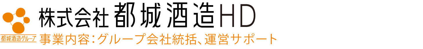 logo_ms-holdings