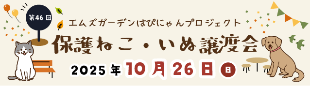 保護ねこ・いぬ譲渡会