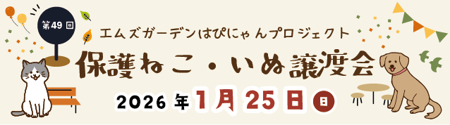 保護ねこ・いぬ譲渡会