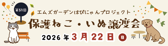 保護ねこ・いぬ譲渡会