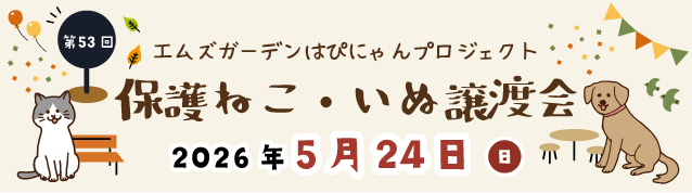 保護ねこ・いぬ譲渡会