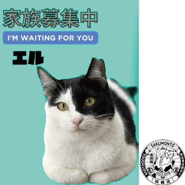 パソコン用の画像