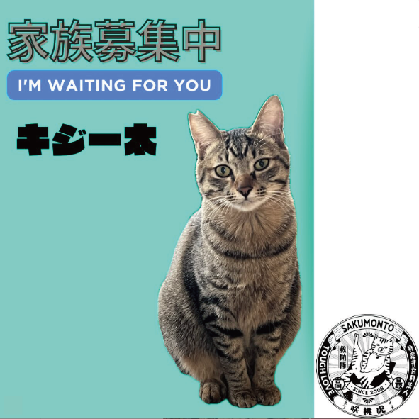 パソコン用の画像