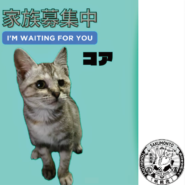 パソコン用の画像