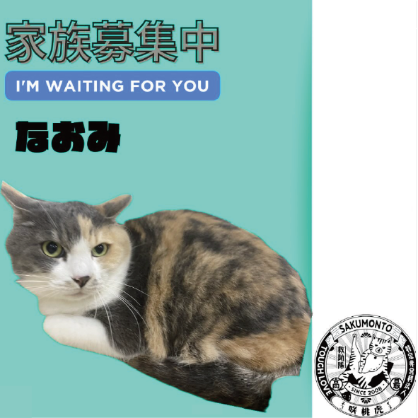 パソコン用の画像