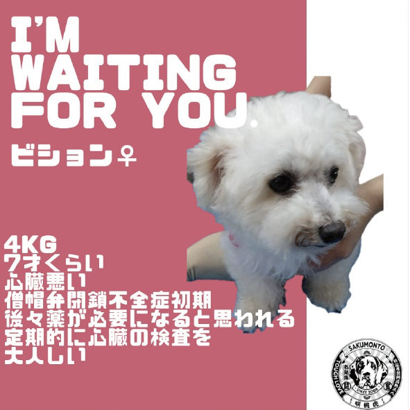 パソコン用の画像