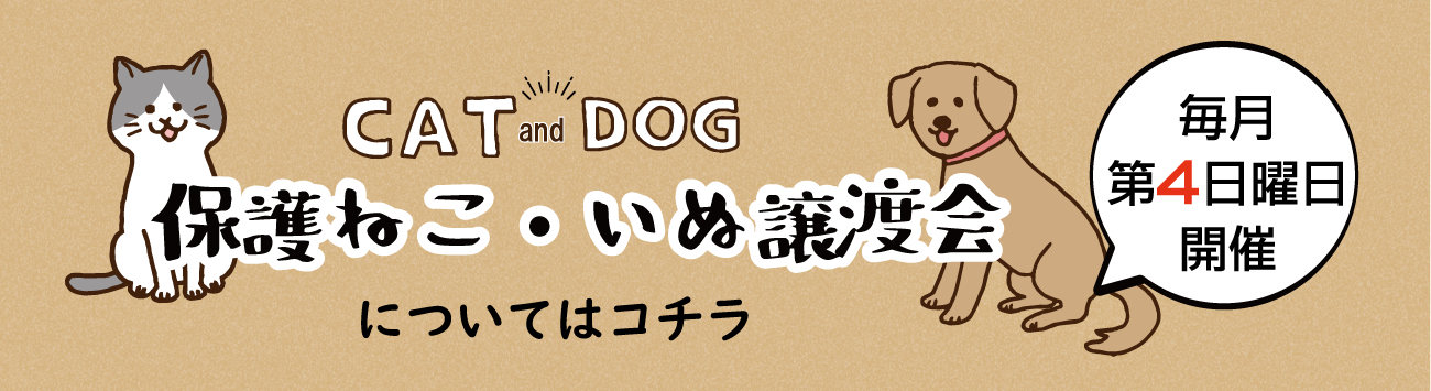 保護ねこ・いぬ譲渡会