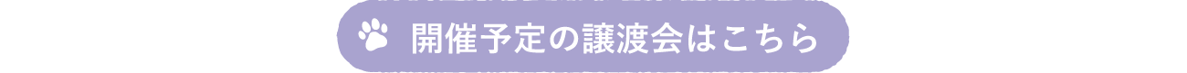 次回の譲渡会