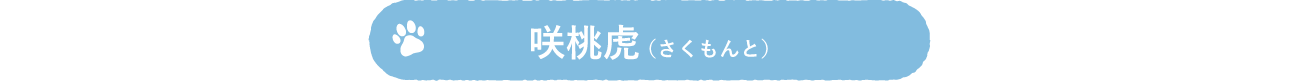 咲桃虎